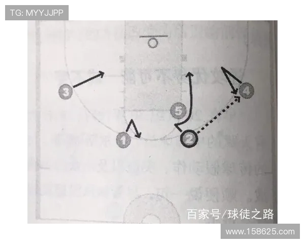 篮球之路:深入分析广州篮球队的战术与技术创新 篮球之路:深入分析广州篮球队的战术与技术创新